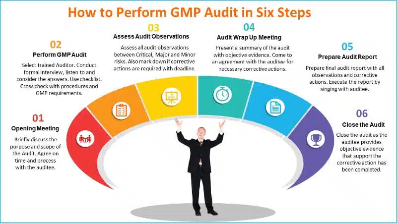 Auditing in the Pharmaceuticals Industry